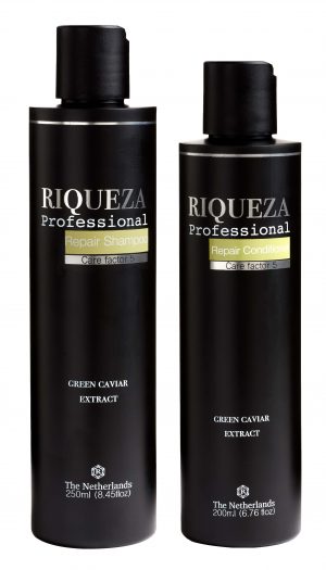 Giftset Repair Shampoo & Conditioner